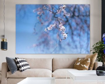 Spring in Air by Karin van Bylevelt