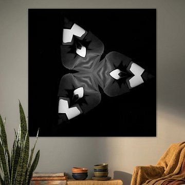 Einfarbige Bestellung 2