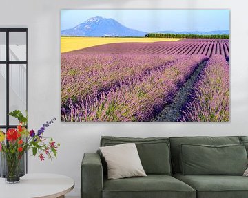 Bloeiende lavendel naast graanvelden in de Provence van Sjoerd van der Wal Fotografie