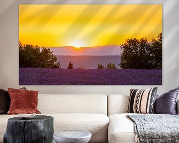 Bloeiende lavendel in de Provence tijdens zonsondergang van Sjoerd van der Wal Fotografie