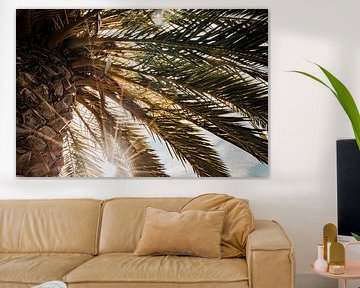 Palmboom Albufeira Zonnestralen door Tropisch Loof