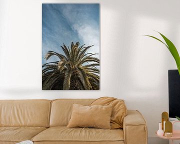 Palmboom Albufeira Verticale Tropenpracht onder Blauwe Hemel