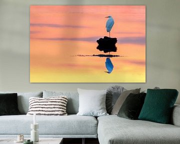 Grote zilverreiger in een moerasgebied tijdens zonsondergang van Sjoerd van der Wal Fotografie