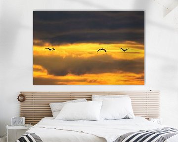 Kraanvogels vliegen in een zonsondergang tijdens de herfstmigratie van Sjoerd van der Wal Fotografie
