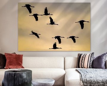 Kraanvogels vliegen in de lucht tijdens de herfstmigratie van Sjoerd van der Wal Fotografie