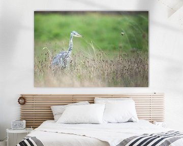 Blaureiher im Spijkenisse Polder von Glenn Vlekke