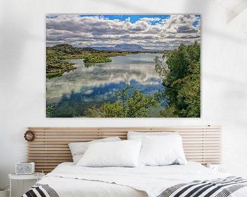 Kalfastrond lava lake around Lake Myvatn in Iceland by Patricia Hofmeester