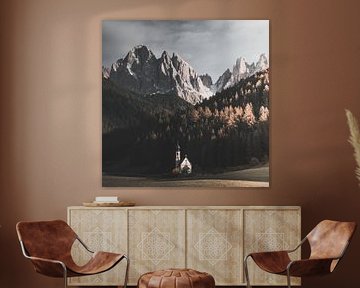 Cerisier St Magdalena sur Fabiroams