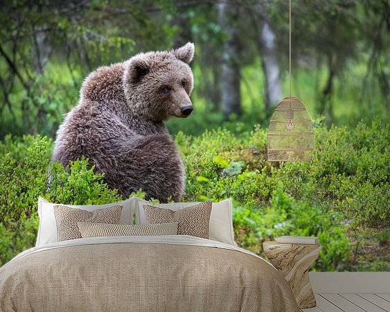 Aperçu de la chambre