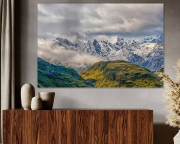 Panorama des Franz-Josef-Gletschers in Neuseeland von Patricia Hofmeester