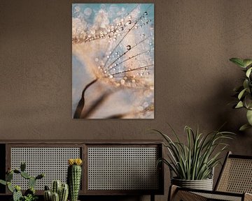 Harmonie en evenwicht van Daniela Beyer