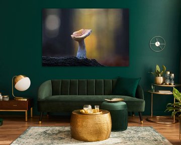 Silence in the Forest Light by Rick Goede