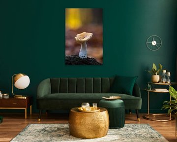 Herbstsinfonie in der Stille von Rick Goede