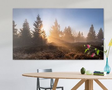 Mist in de Harz van Steffen Henze