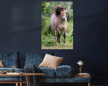 Wildpferd mit wilder Mähne von Daniela Beyer