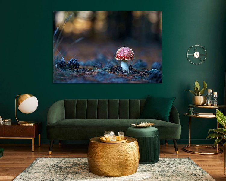 Aperçu de la chambre