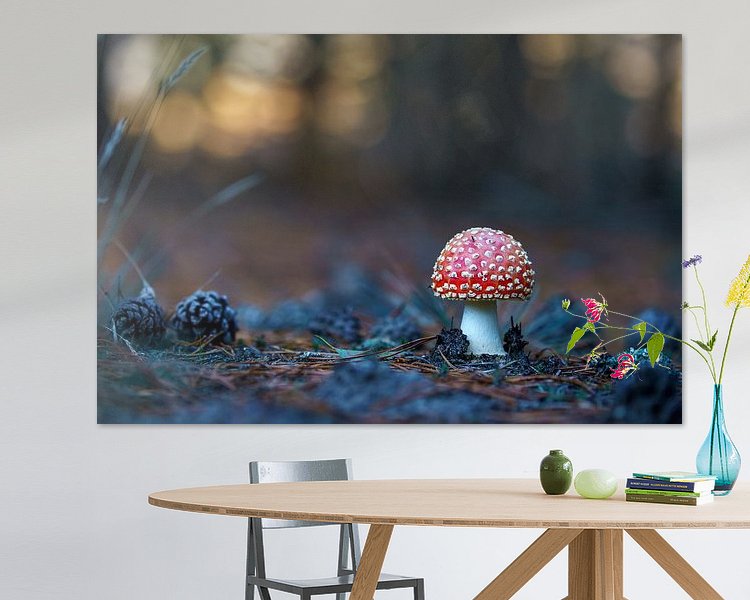 Aperçu de la chambre