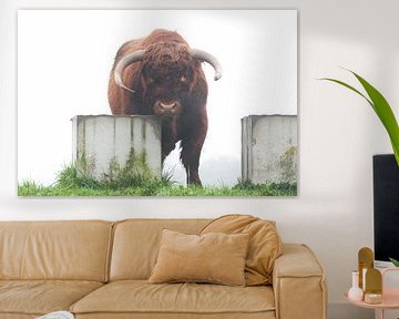 Hooglander in de mist van Gonda Versteeg