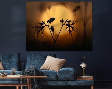 Ikarus blau während der goldenen Stunde von Gonda Versteeg