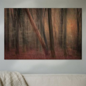 Mysterie van het Speulderbos