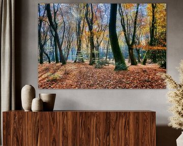 Herfstpracht in het Speulderbos met mooie herfstkleuren van eric van der eijk