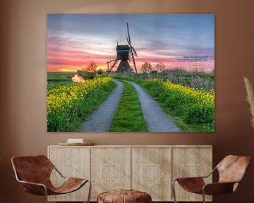 Mill by petra van oorschot