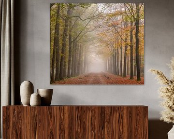 Herbst von petra van oorschot