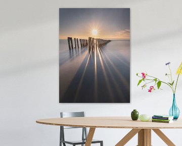 tussen dag en droom van Jeroen van der Pluijm