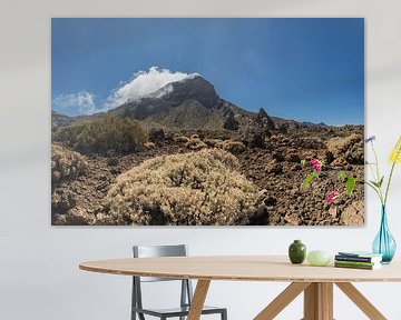 Guajara - de stille bewaker van de cañadas