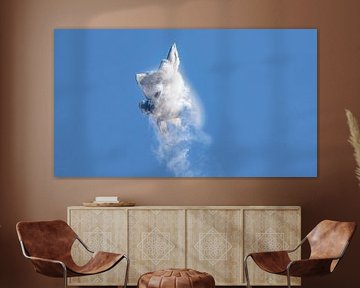 U.S. Air Force Lockheed Martin F-22 Raptor Demo Team.