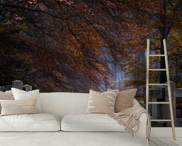 Planken Wambuis part 167