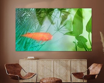 biotop von fantasina