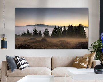 Brouillard matinal dans le Harz sur Steffen Henze