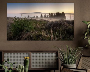 Vue matinale dans le Harz sur Steffen Henze