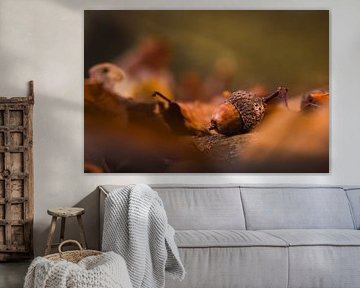 The promise of autumn