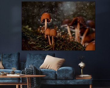 Breath of the forest