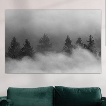 Mystischer Nebelwald in Schwarzweiß