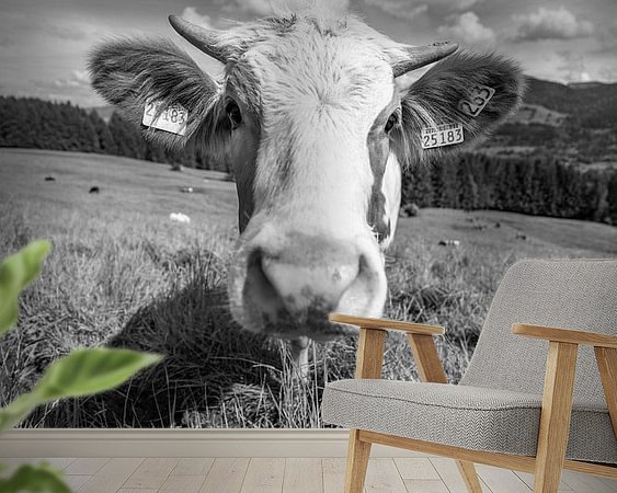 Raumvorschau