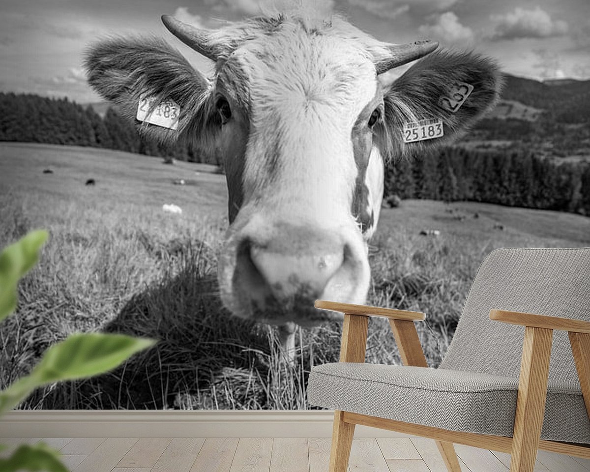 Raumvorschau