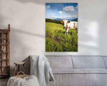 Süße Allgäuer Kuh von Leo Schindzielorz