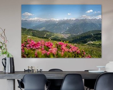 Alpine roses in Serfaus, Tyrol by Leo Schindzielorz