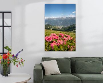 Alpine roses in Serfaus, Tyrol by Leo Schindzielorz