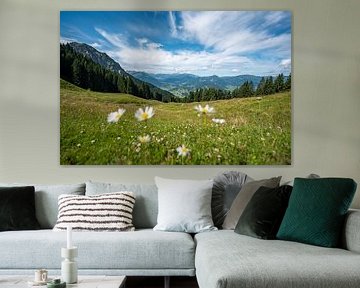 bloemrijk uitzicht op de Rubihorn en de Allgäuer Alpen van Leo Schindzielorz