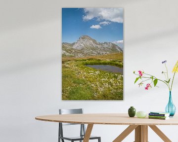 meertje in de Alpen van Davos en de Zwitserse Alpen