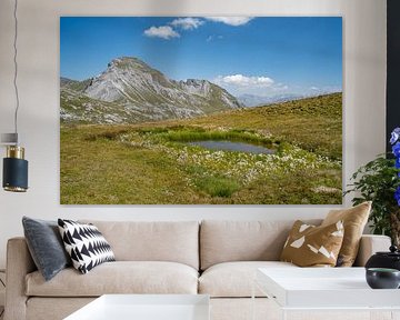 petite mare dans les Alpes de Davos et les Alpes suisses sur Leo Schindzielorz