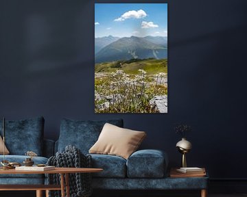 Edelweiss avec vue sur Davos et les Alpes suisses sur Leo Schindzielorz