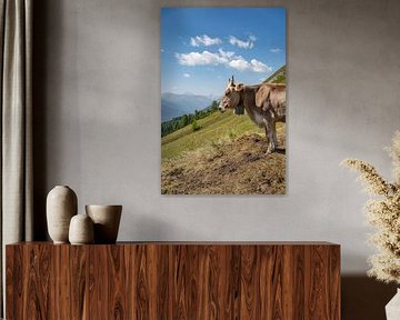 Vache suisse dans les Alpes de Davos sur Leo Schindzielorz