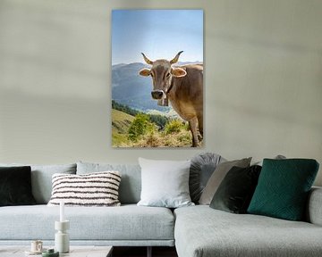 Vache suisse dans les Alpes de Davos sur Leo Schindzielorz