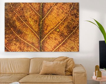 Autumn leaf abstract by Gonda Versteeg