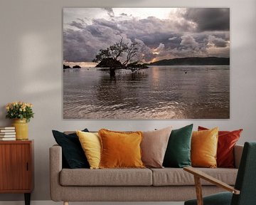 thunderstorm on the way